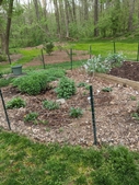Garden in April 2021
