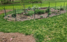 Garden in April 2021