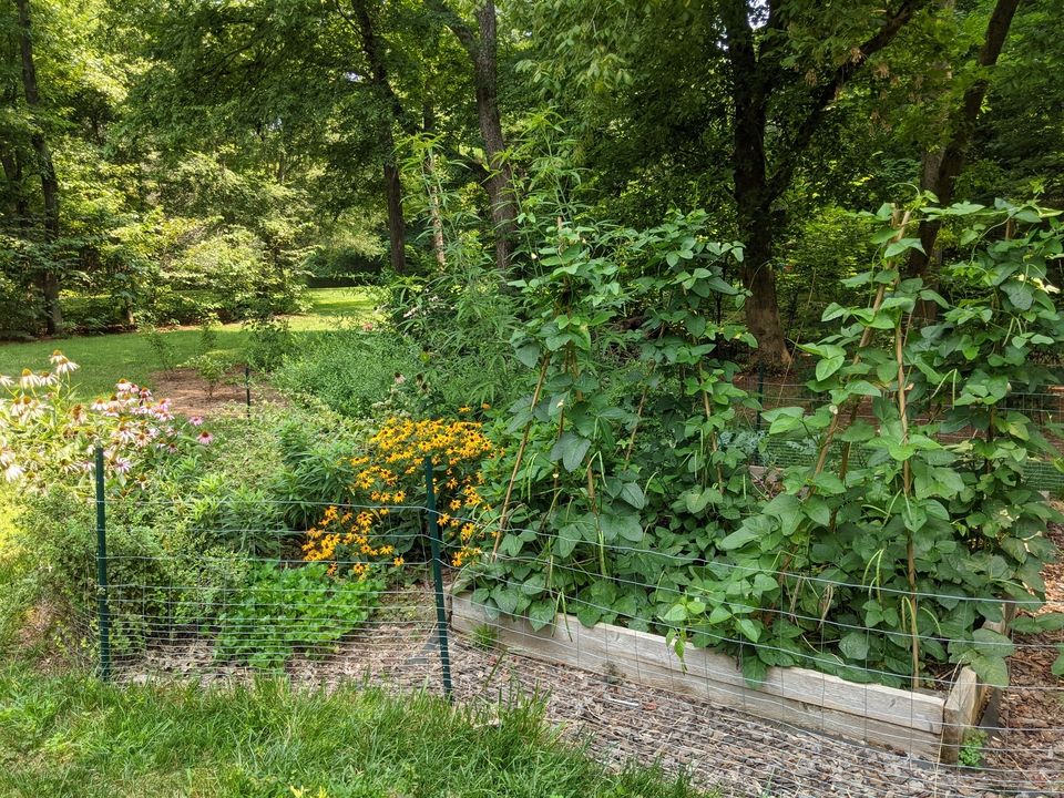 Front of Garden July 2021