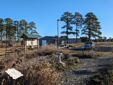 View of the Garden looking to the east w/ winter perennial bones