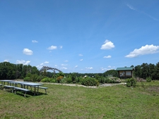 A landscape view of the Pollinator Haven Garden in mid-summer