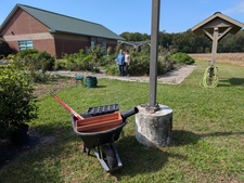 Wheelbarrow with pots & trays near planting bed.