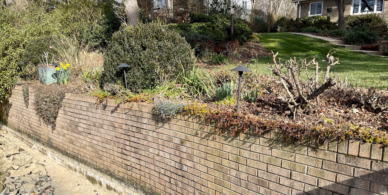 Ice plant, sedum & dianthus ready for spring