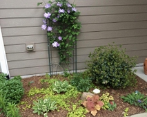Spring view