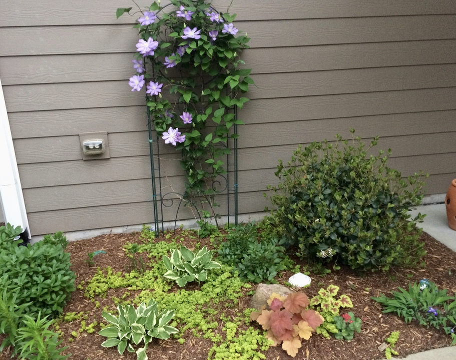 Spring view