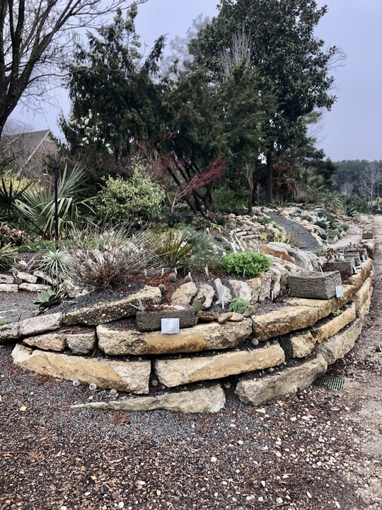 cacti and succulents growing among vertical slabs of concrete.