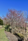 Souto Sun Garden