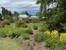 View Of Palm House