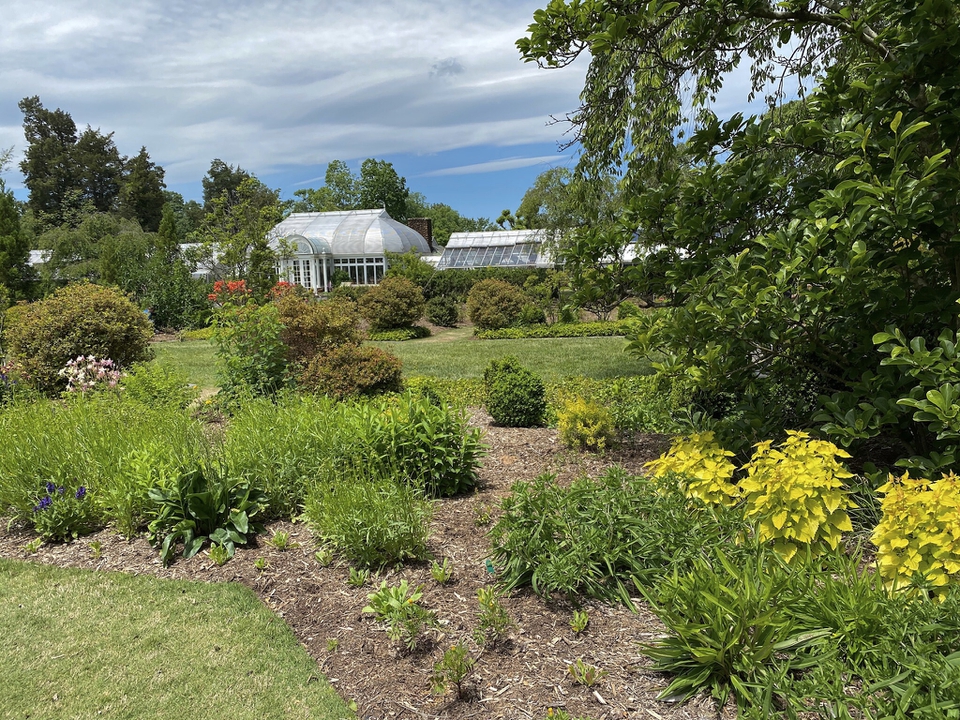View Of Palm House