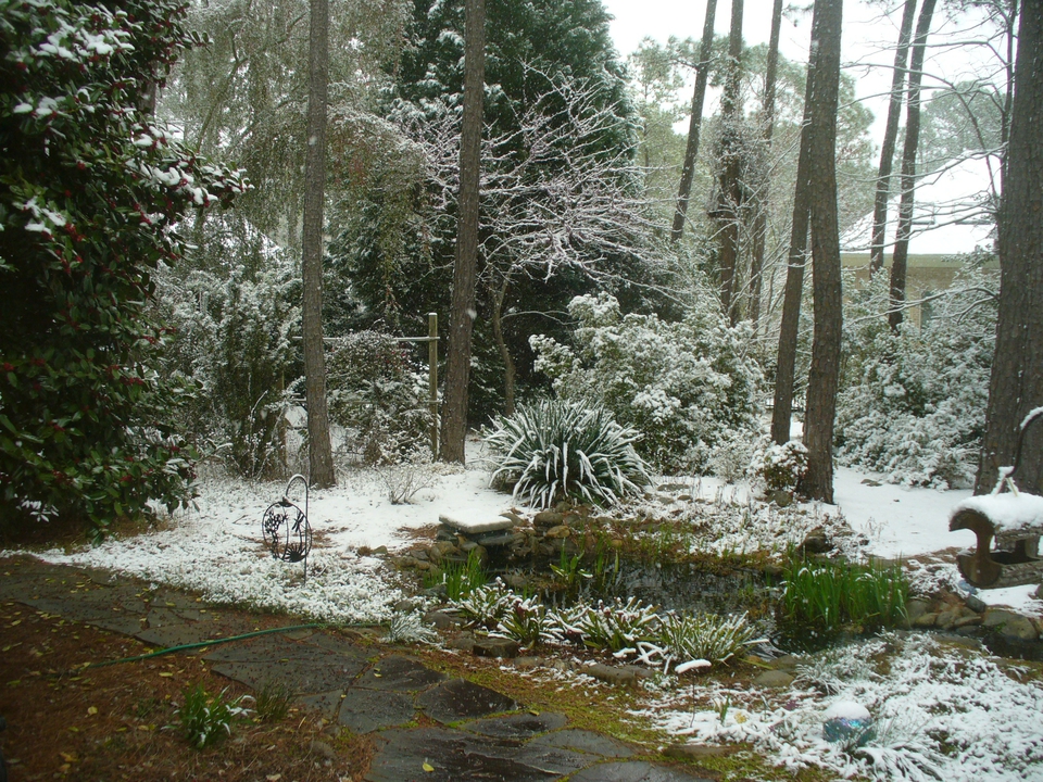 Snow captures wonderful textures