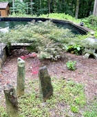 “Little Stonehenge “