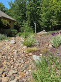 Dry Rock Stream Garden