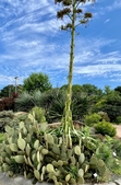 Summer view
