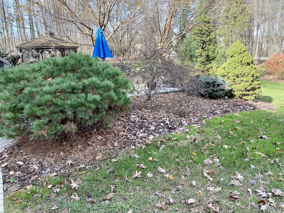 Good late fall color & texture