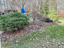 Good late fall color & texture