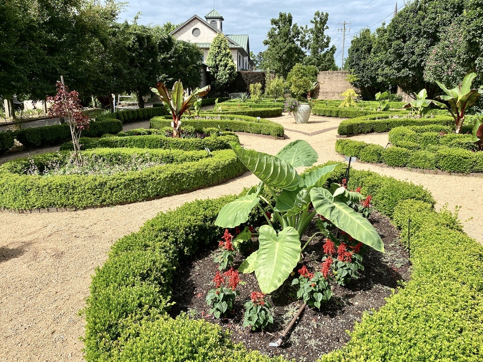 Box-edged bed with tropical bedding.