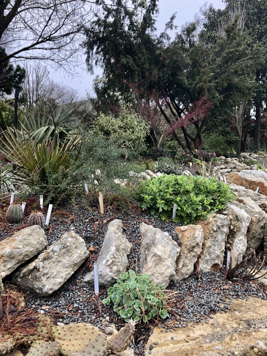 Plants growing among vertical slabs of concrete.