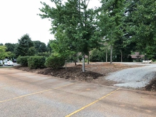 A pathway lined with trees that leads into a parking lot