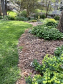 Border against turfgrass.
