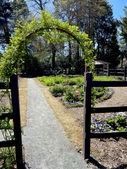Arched garden entrance