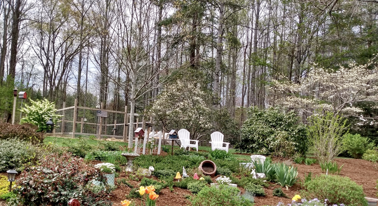 Fairy garden