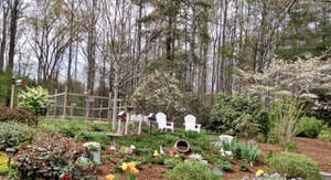 Fairy garden