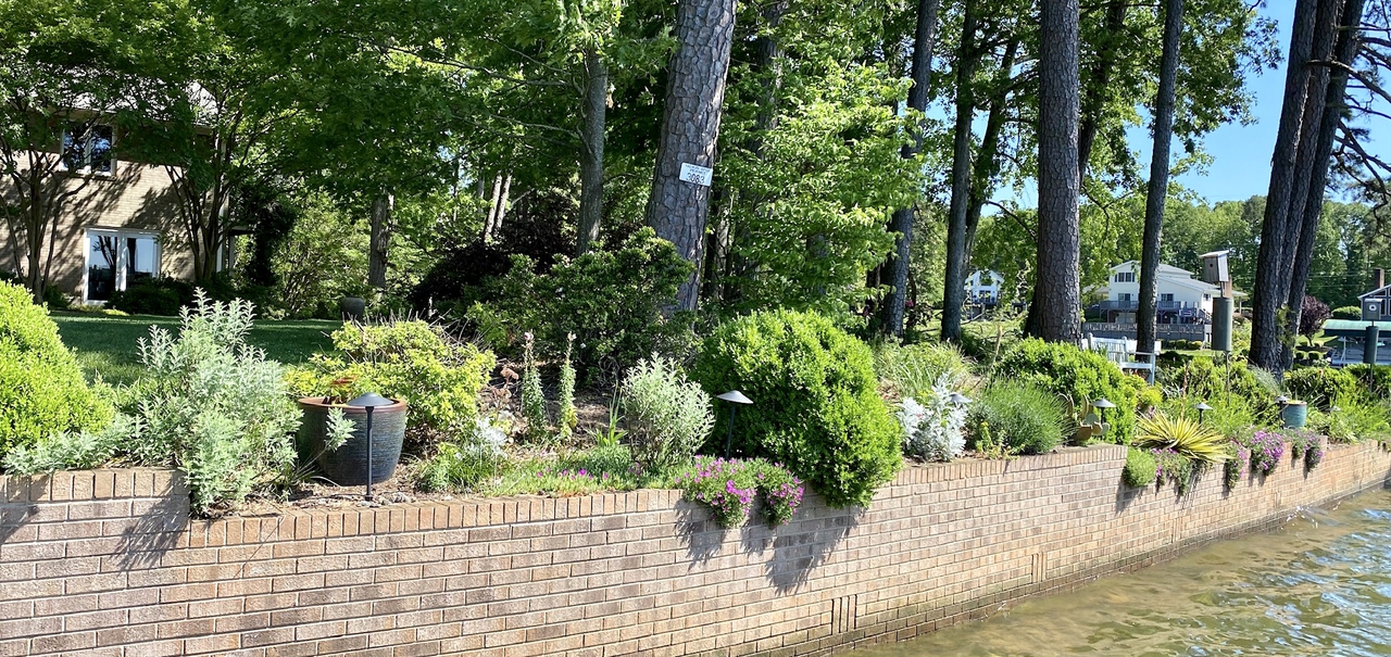 plants spilling over a brick retaining wall.