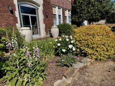 Something is always blooming