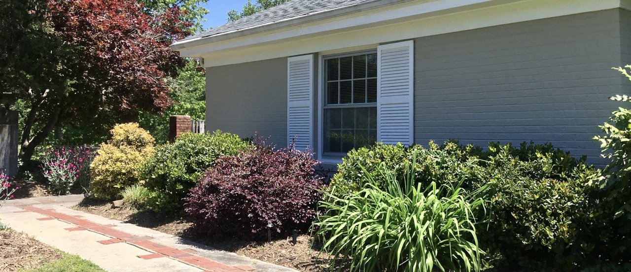 Foundation planting