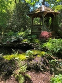 Front Shade Garden