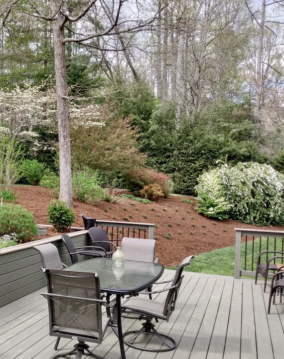 View from patio