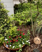 Colorful Combination