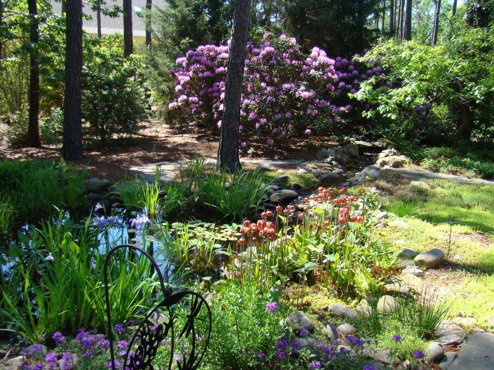 Lush foliage and flowers invite birds and butterflies