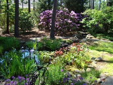 Lush foliage and flowers invite birds and butterflies