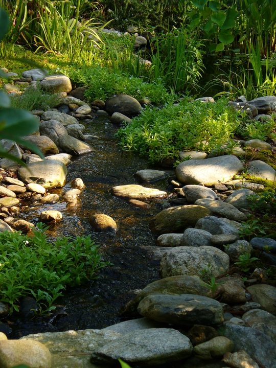 Stream view looking toward pond