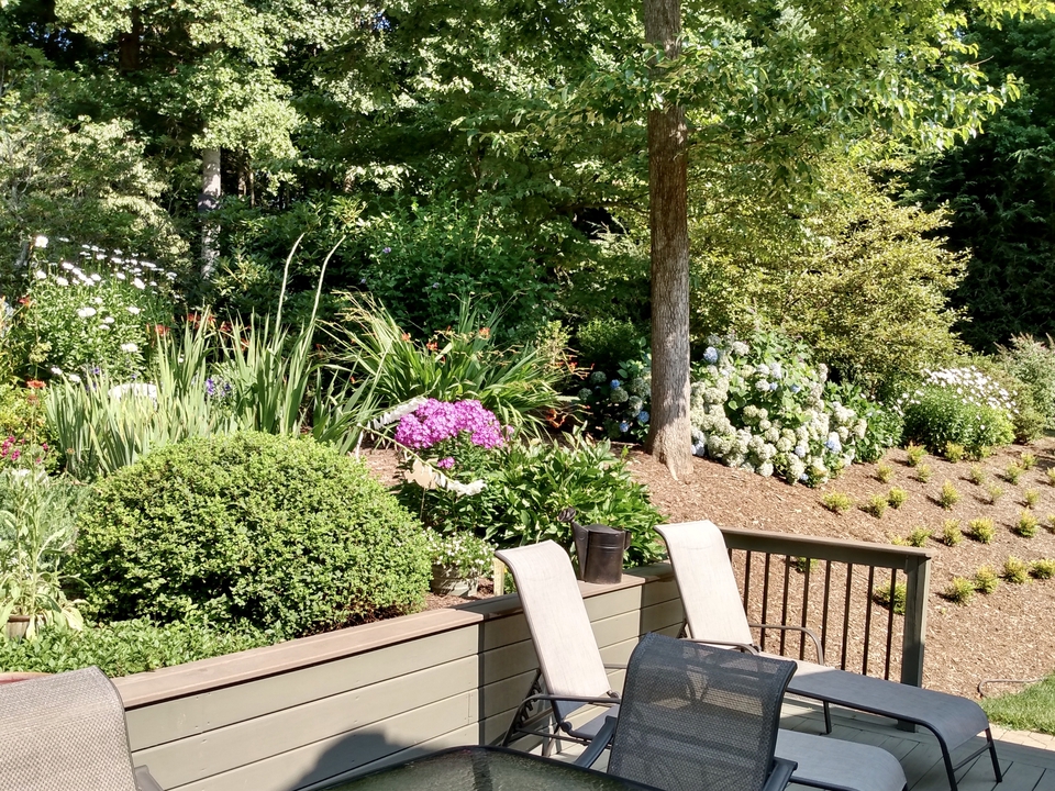 Summer view from back patio