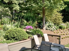 Summer view from back patio