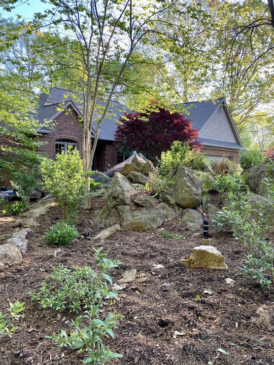 Rock & water garden