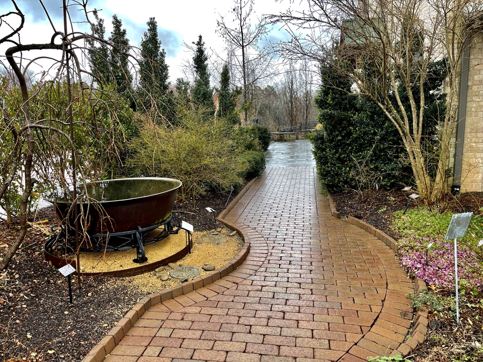 The bones of the garden can be appreciated in the winter