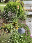 plants spilling over a brick retaining wall.