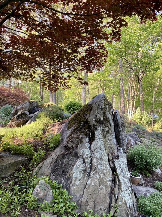 Rock & water garden