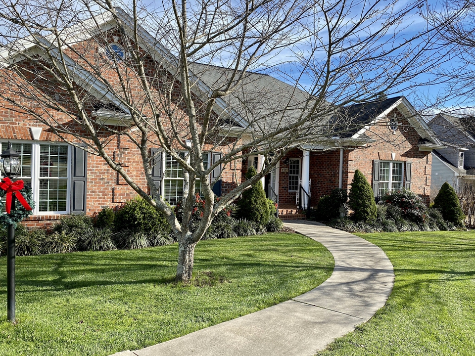 Evergreens remain attractive year round