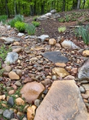 Rock Dry Stream Garden