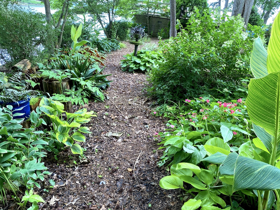 Summer growth
