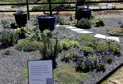 Reynolda Herb Garden