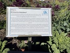 Garden experimenting with new plant varieties