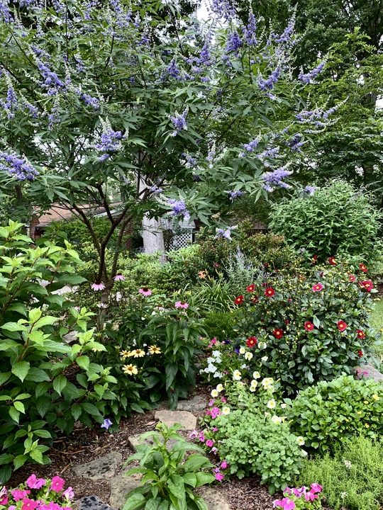 Vitex and flowers