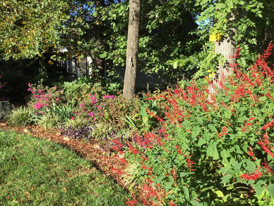 Backyard Respite Landscape