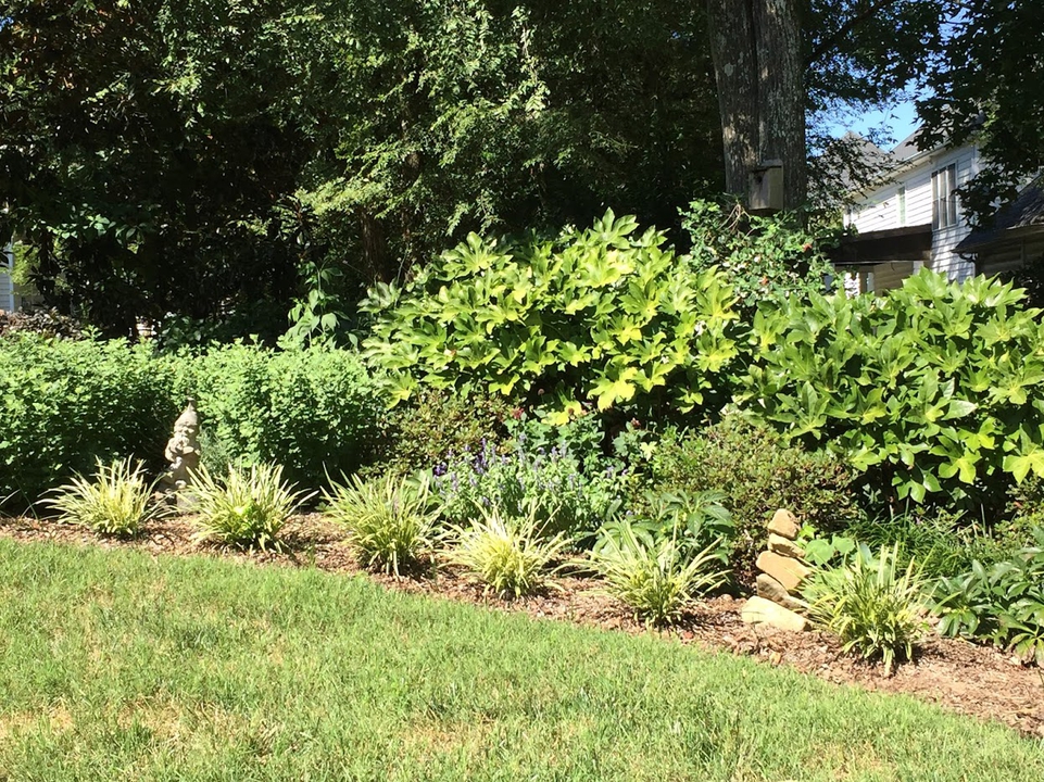 Backyard Respite Landscape in the Summer