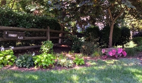Backyard Respite Landscape in the Summer